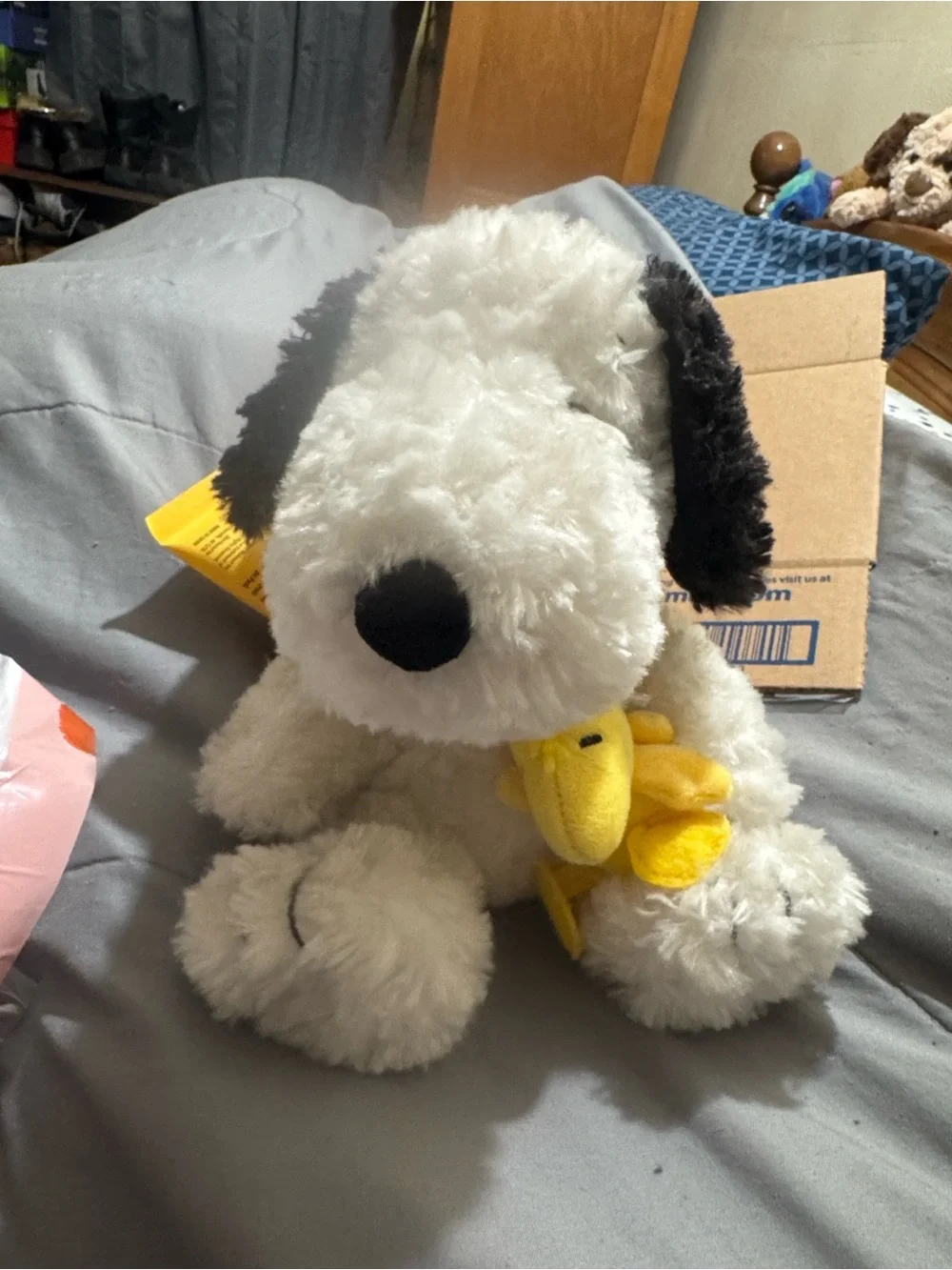N/A new teddy